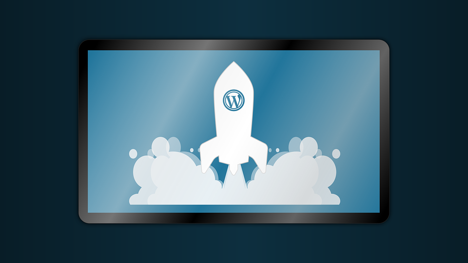 Wordpress CMS