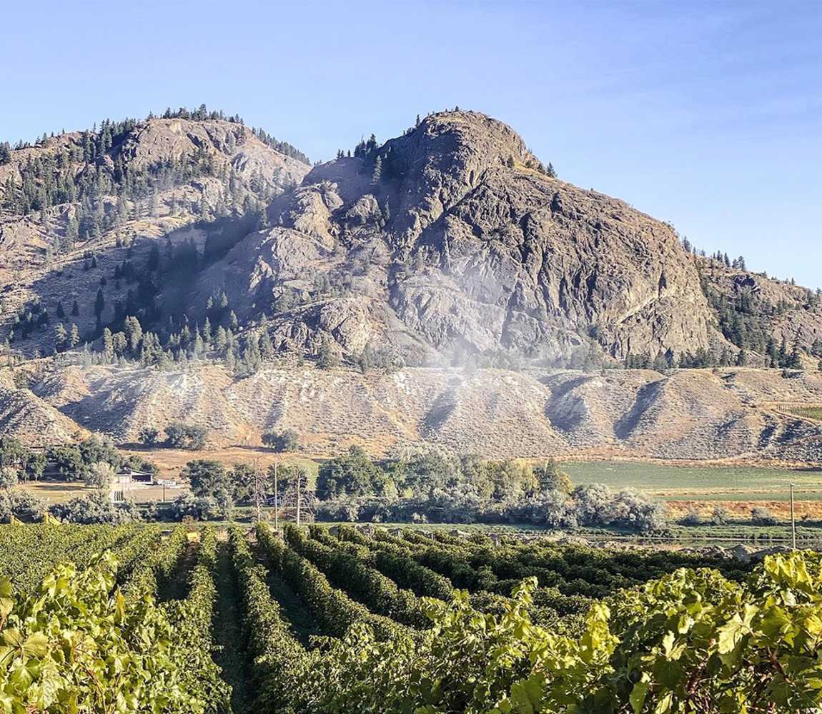 Winery Resilience: Local Wineries - Kamloops, BC
